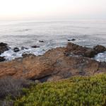 Cambria_0564 (November 02, 2013)